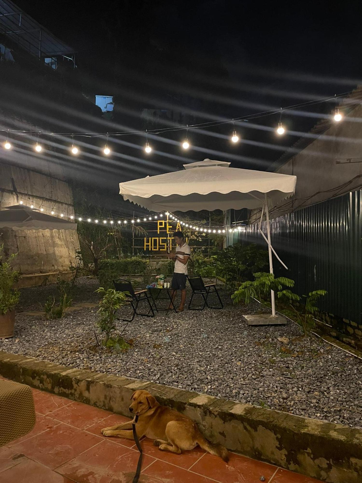 Pea Hostel Шапа Экстерьер фото